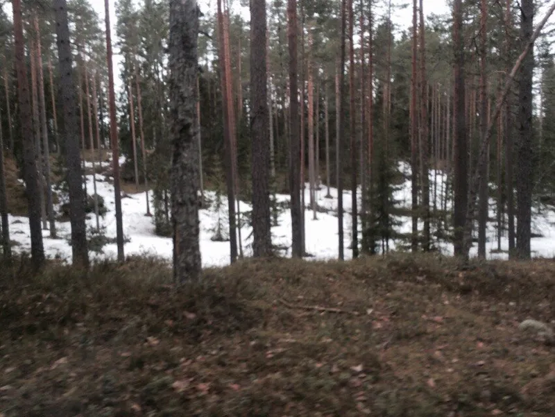 Каннельярви, полигон 16.04.2015