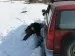 Полигон_10_04_2010