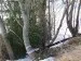 Полигон_10_04_2010
