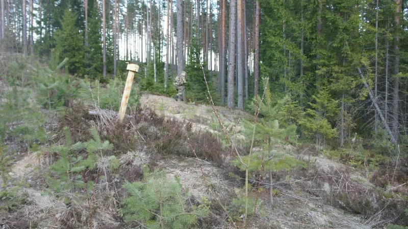 Пауки в банке III, 25.04.2015