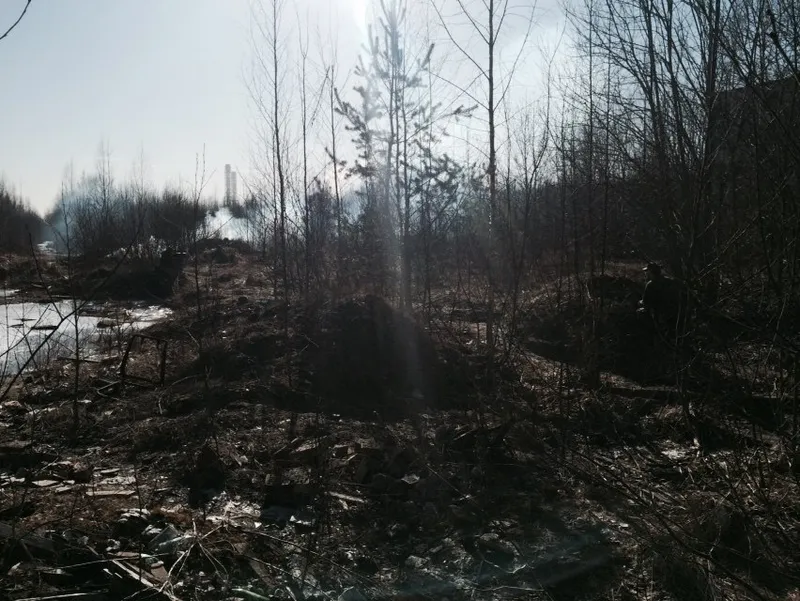 Тренировка, Ольгино, 14 марта 2015