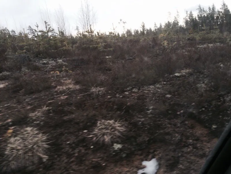 Каннельярви, полигон 16.04.2015