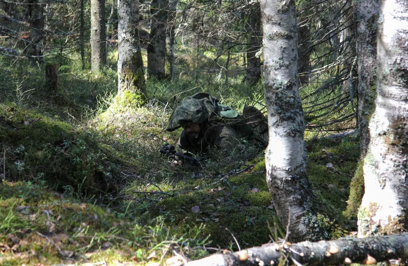 Тренировка от Кочегара! 03.05.2025 Полигон "Медное озеро"