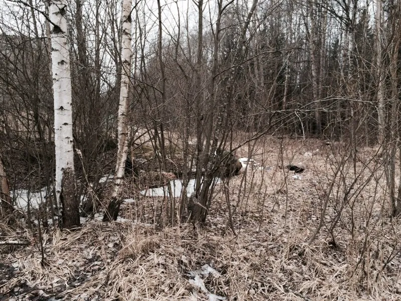 Тренировка, Ольгино, 28 марта 2015