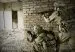 Фотосессия 29 августа | CQB
