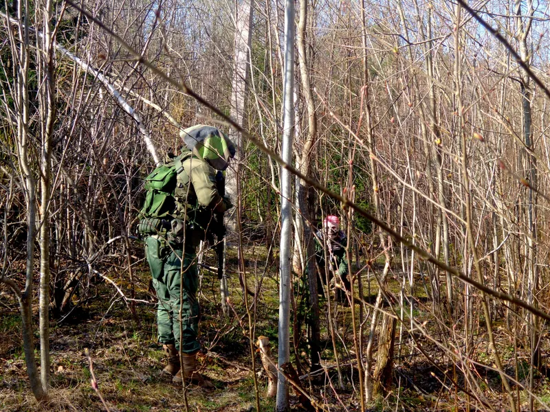 Вирус:Осада 27.04.2025 Организатор ЛСО, полигон Северный