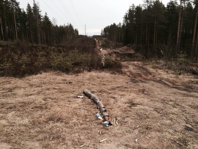 Каннельярви, полигон 16.04.2015