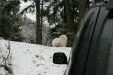 МАСА КУМТА