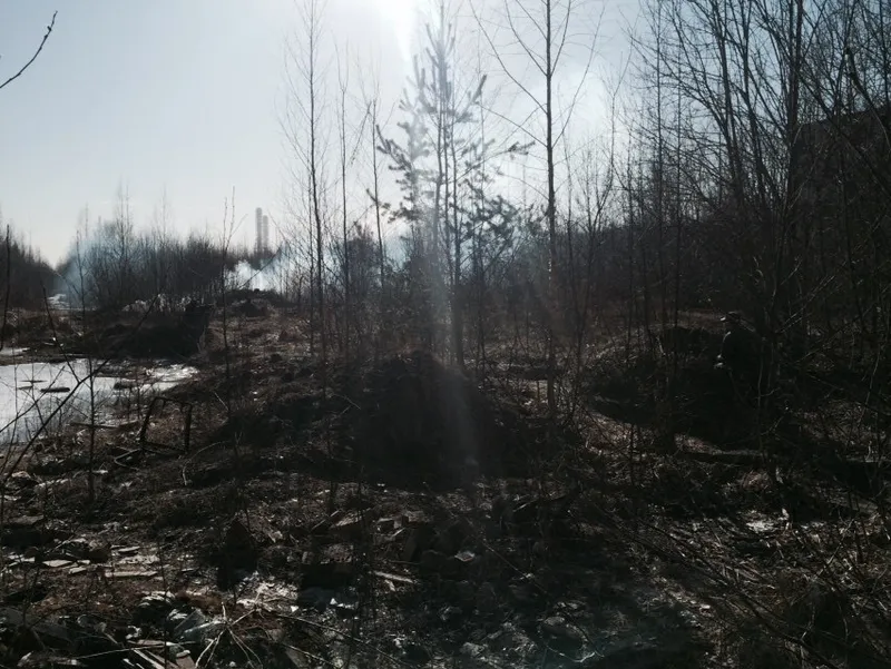 Тренировка, Ольгино, 14 марта 2015