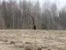 Полигон_10_04_2010