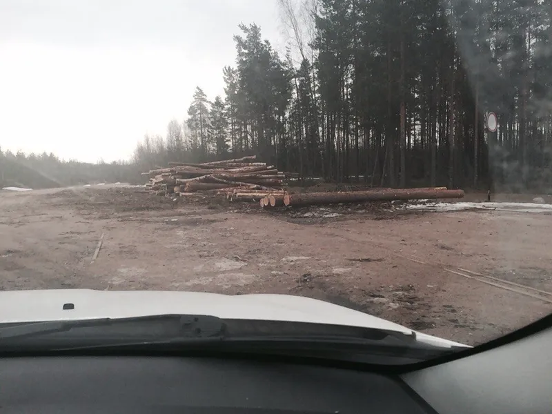 Каннельярви, полигон 16.04.2015