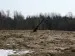 Полигон_10_04_2010