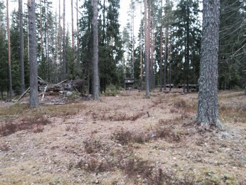 Каннельярви, полигон 16.04.2015