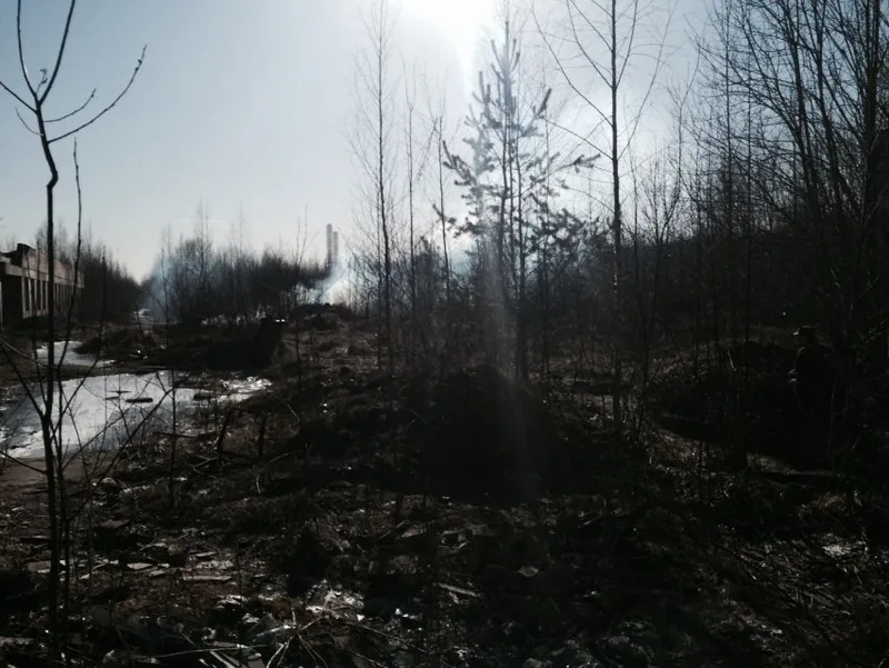 Тренировка, Ольгино, 14 марта 2015