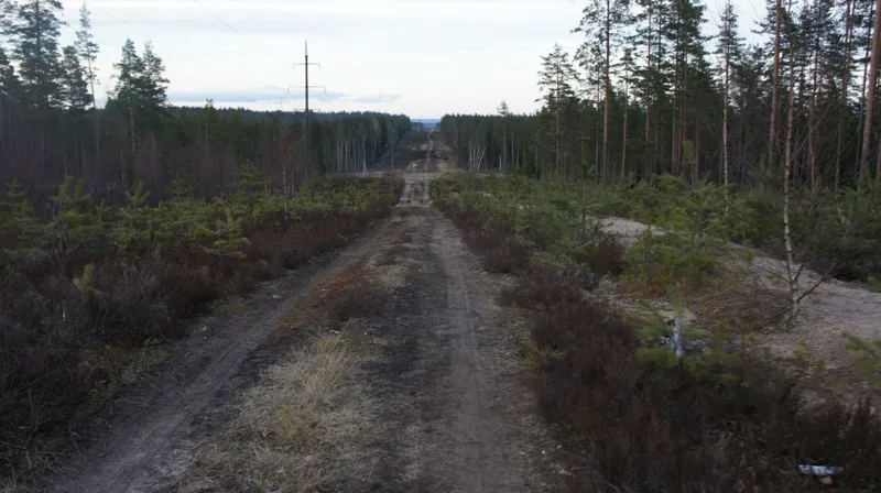 Пауки в банке III, 25.04.2015