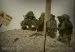 Фотосессия 29 августа | CQB