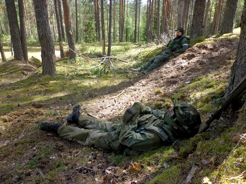 "Белые ночи 2" 29.06-30.06.2024, организаторы  "Red Fox Airsoft", полигон "Треугольник"