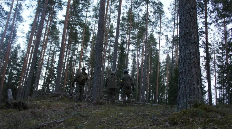 Пауки в банке III, 25.04.2015