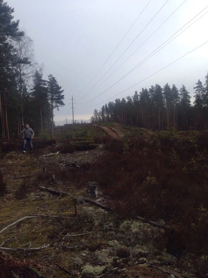 Каннельярви, полигон 16.04.2015