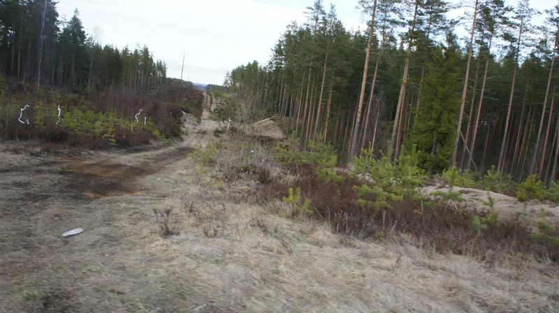 Пауки в банке III, 25.04.2015