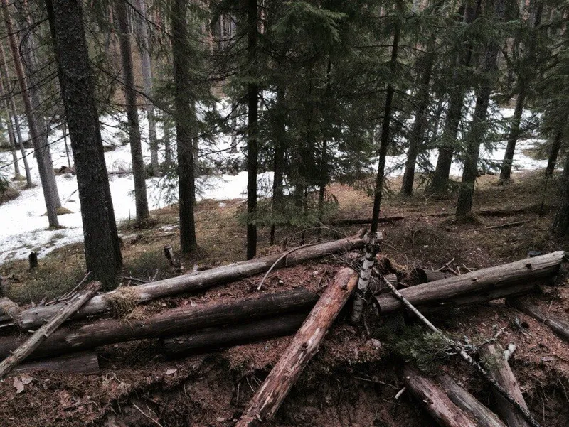 Каннельярви, полигон 16.04.2015