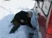 Полигон_10_04_2010