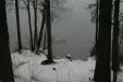 МАСА КУМТА
