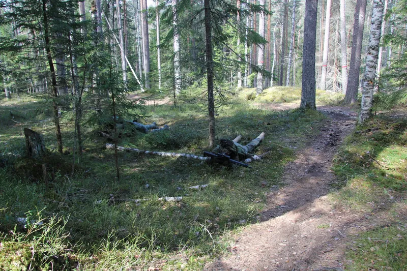 03.05.2025 Альбом