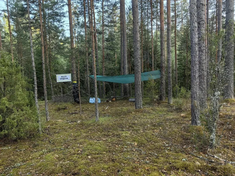 Белые Ночи