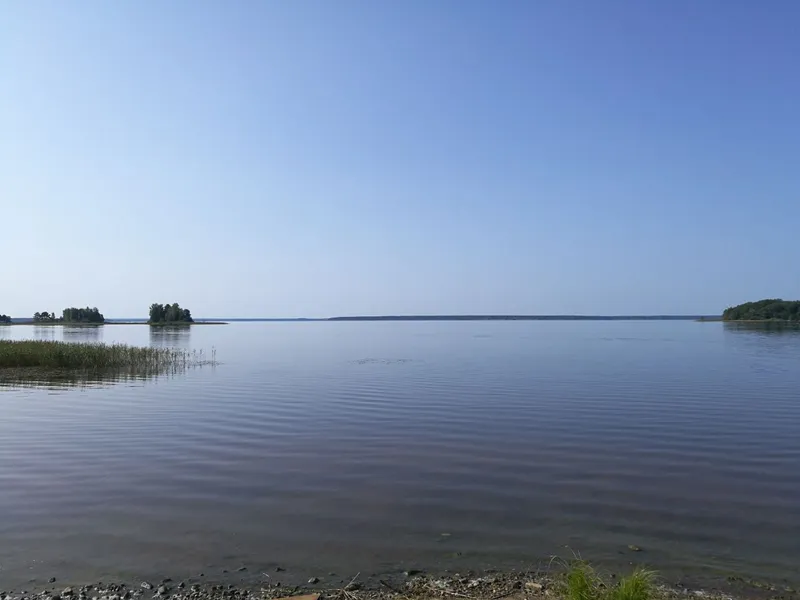 Запись от 02.09.2018